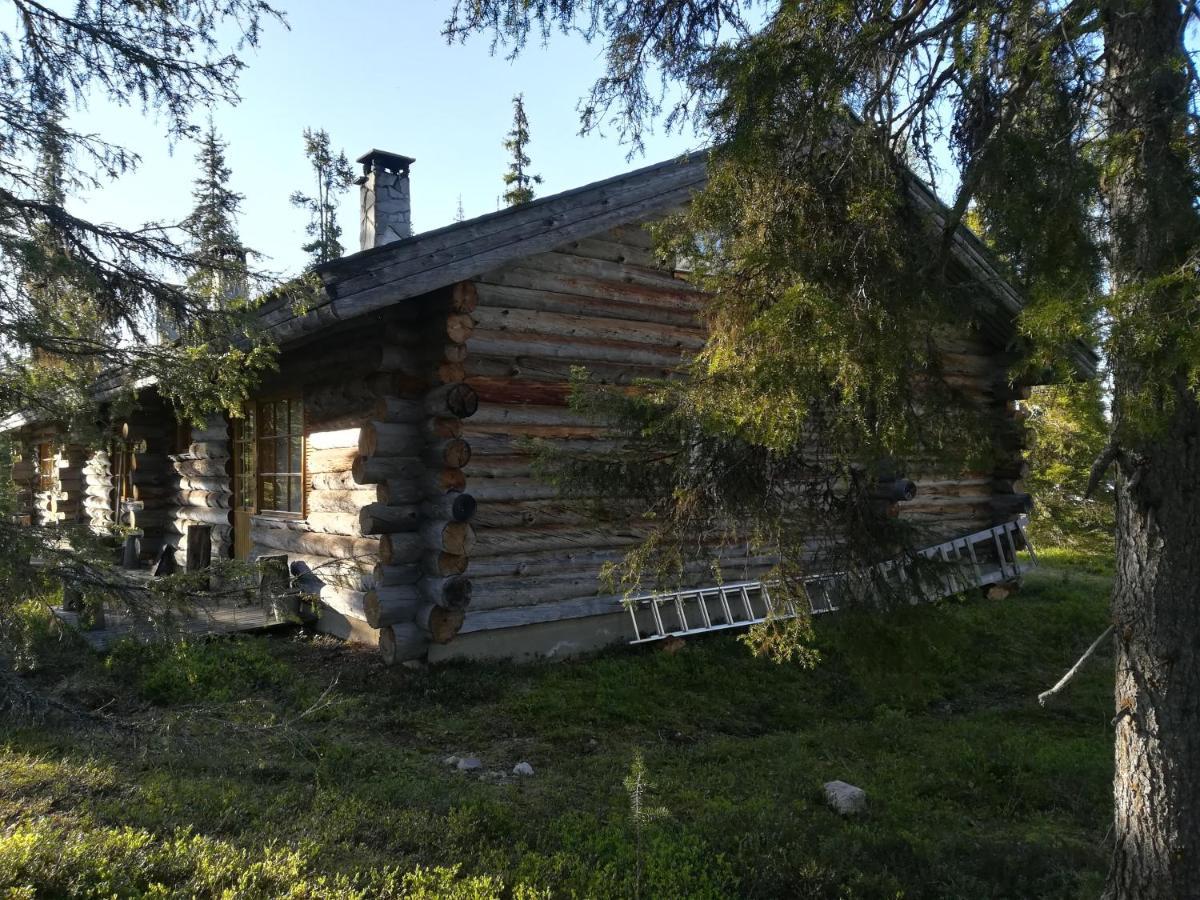 Logwood Chalet Luosto Exterior photo